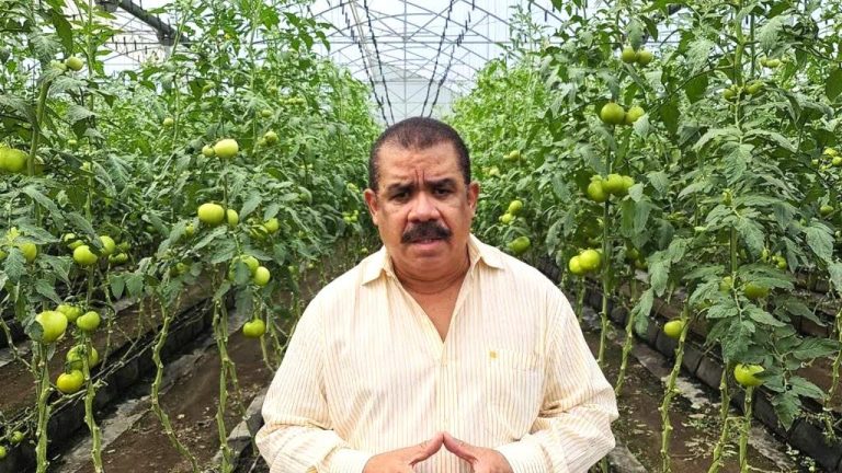 Propone activar la agropecuaria para evitar más impuestos con reformas