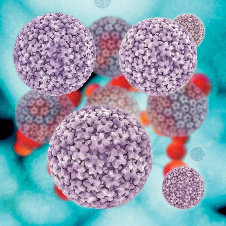 El 70 % de los cánceres de garganta está relacionado con el virus del papiloma humano, según experto