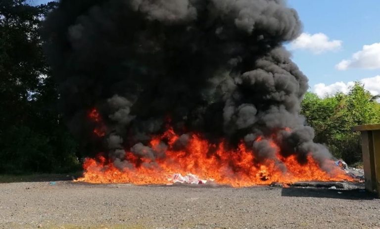 El Inacif destruye más de dos toneladas de cocaína y marihuana